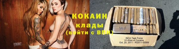 хмурый Арсеньев