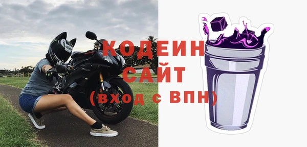 хмурый Арсеньев