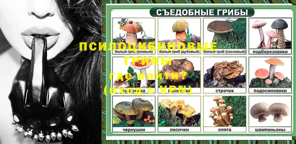 хмурый Арсеньев