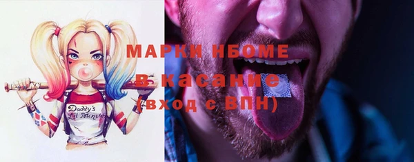 хмурый Арсеньев