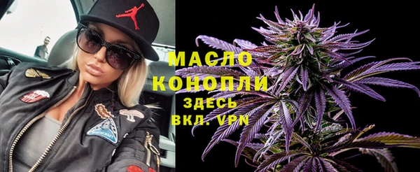 хмурый Арсеньев