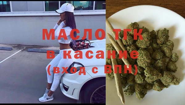 хмурый Арсеньев
