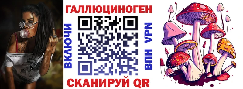 Псилоцибиновые грибы Psilocybine cubensis  Краснослободск 